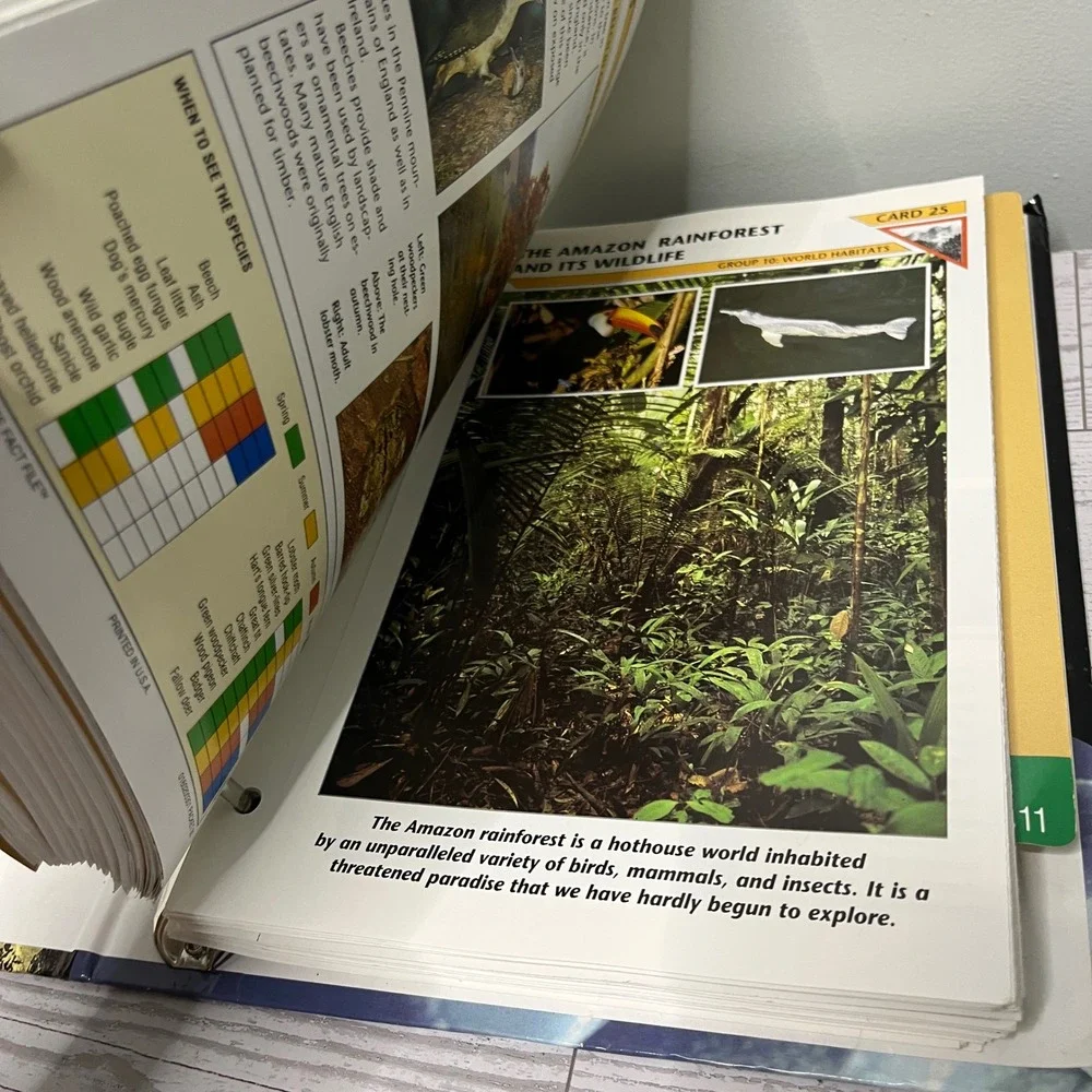 Wildlife Fact-File Binder Cards Group 7 Extinct Animals INCOMPLETE  Home School